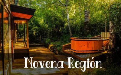 Novena Región