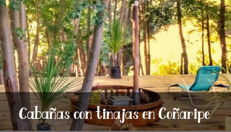 Cabañas con tinajas en Coñaripe